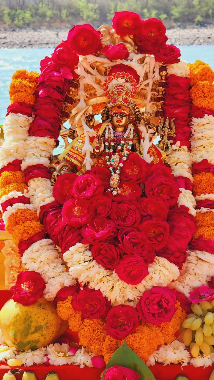 Durga Homa & Pooja by YagyaSeva pandits – photo 21