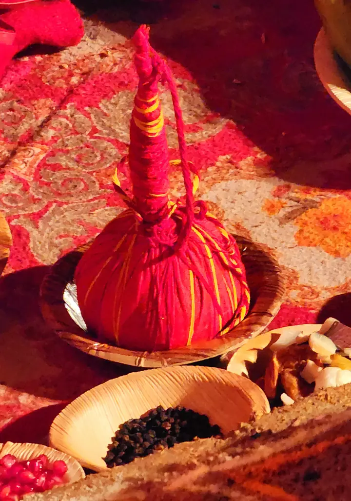 Durga Homa & Pooja by YagyaSeva pandits – photo 24