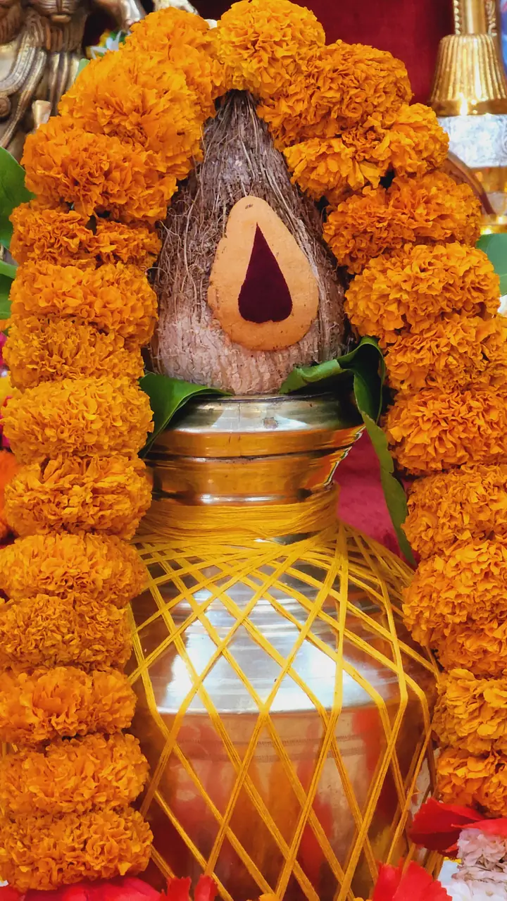 Ganpati Homa & Pooja by YagyaSeva pandits – photo 1
