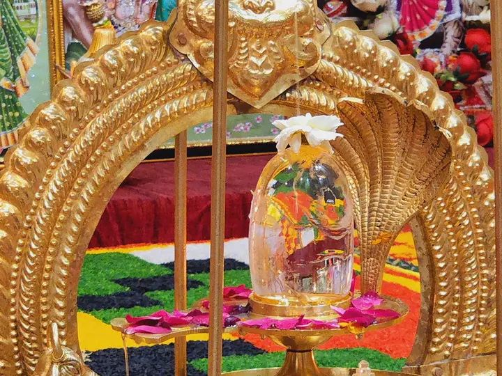 Rudrabhishekam by YagyaSeva pandits – photo 1