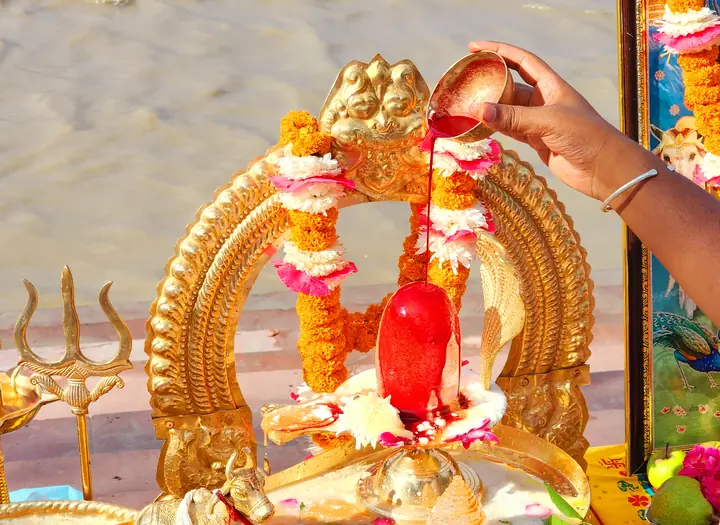 Rudrabhishekam by YagyaSeva pandits – photo 10