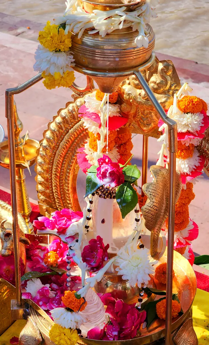 Rudrabhishekam by YagyaSeva pandits – photo 12