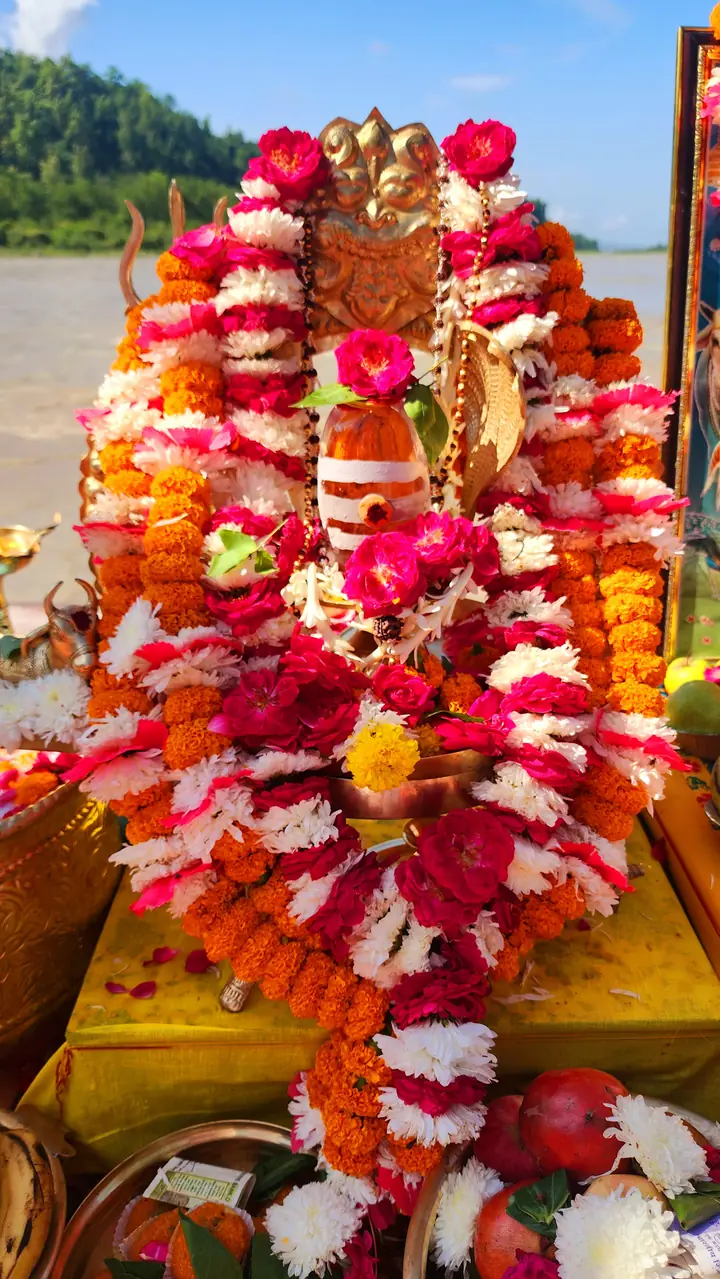 Rudrabhishekam by YagyaSeva pandits – photo 15