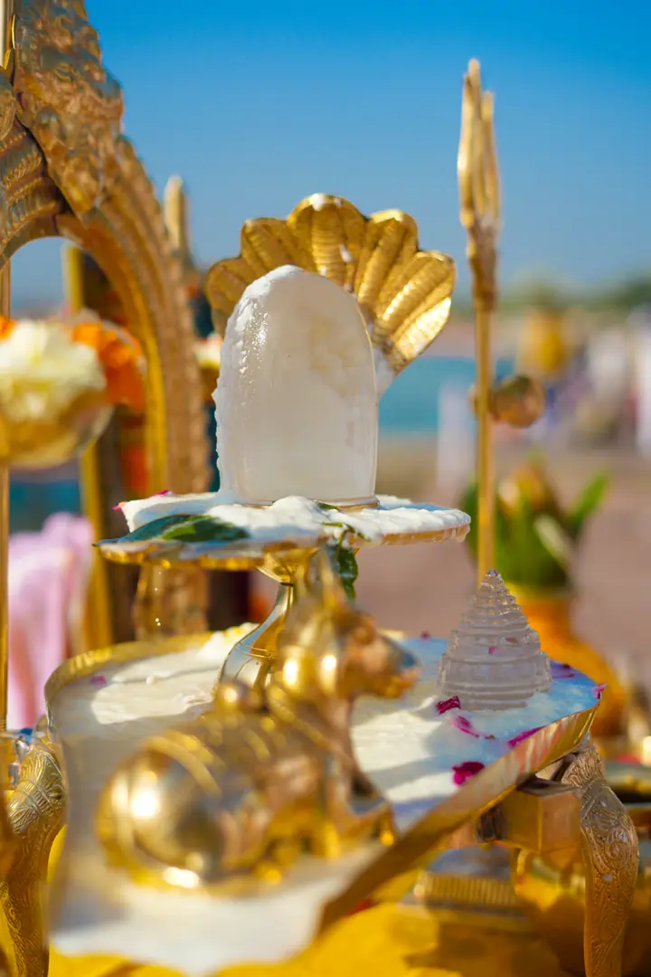 Rudrabhishekam by YagyaSeva pandits – photo 21