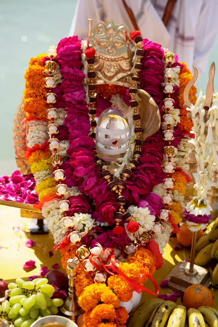 Rudrabhishekam by YagyaSeva pandits – photo 32