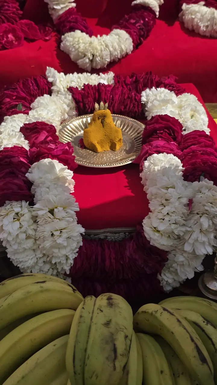 Vedic Vivah (Wedding) by YagyaSeva pandits – photo 20